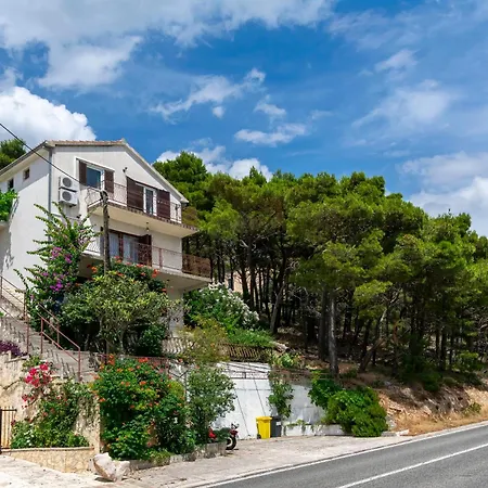 Andi Marusici (Split-Dalmatia)