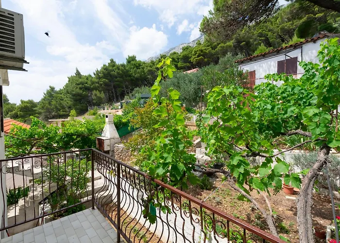 Andi Marusici (Split-Dalmatia)