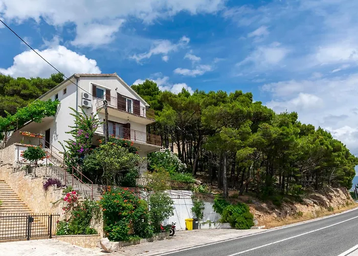 Andi Marusici (Split-Dalmatia)